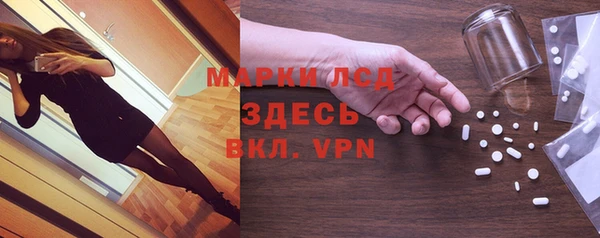 spice Аркадак