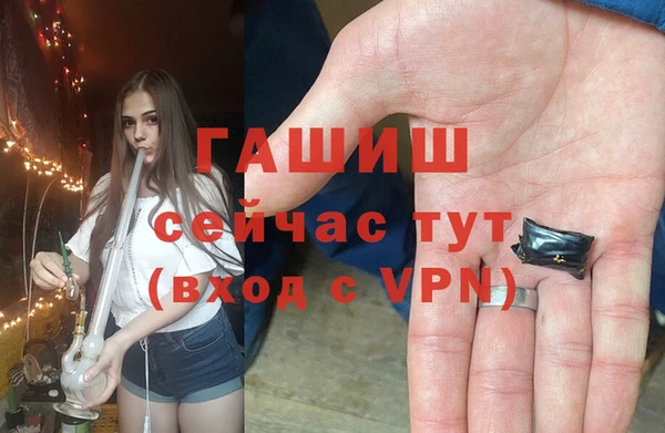 spice Аркадак